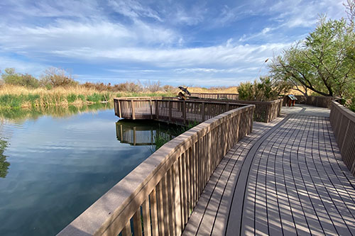 This image is used for Clark County Wetlands Park link button